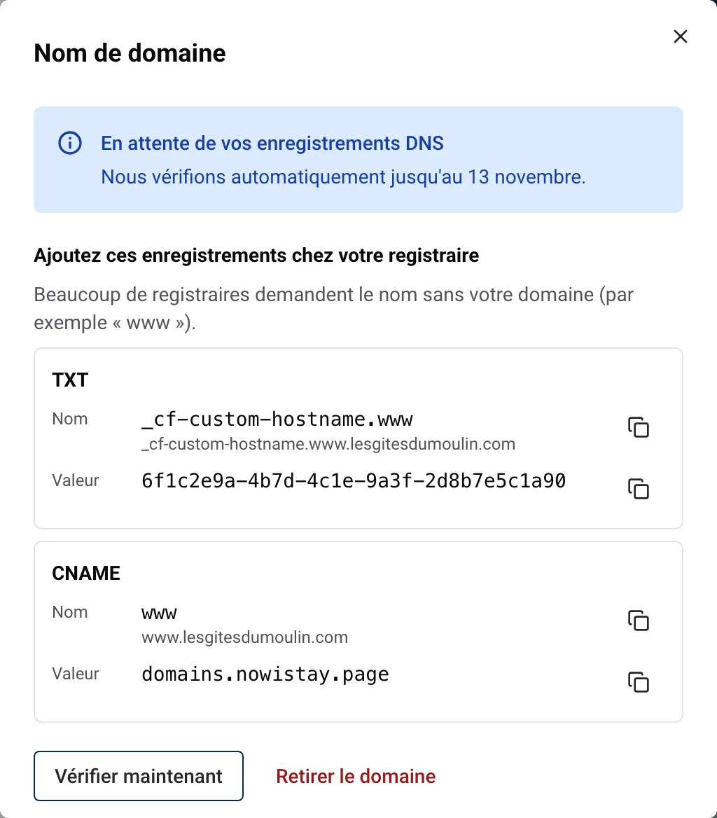 Le panneau Nom de domaine avec les deux enregistrements à ajouter chez votre registraire