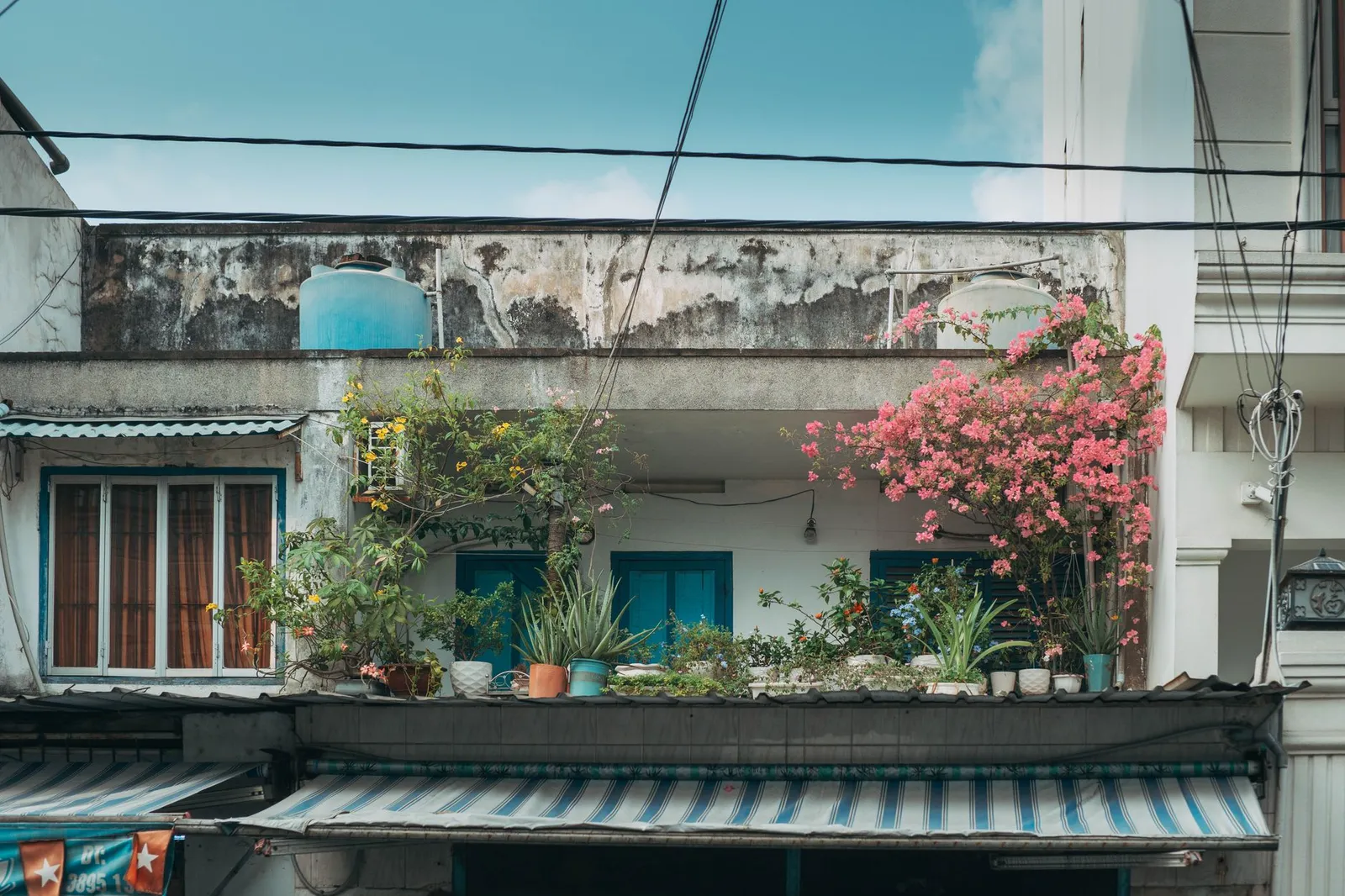 Balcone consumato dal tempo coperto di buganvillea e piante in vaso