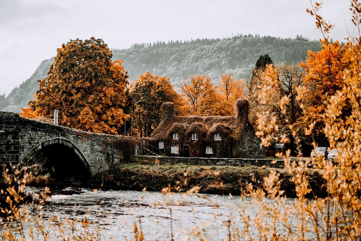 Cottage di pietra ricoperto di edera accanto a un vecchio ponte di pietra nel Galles del nord in autunno