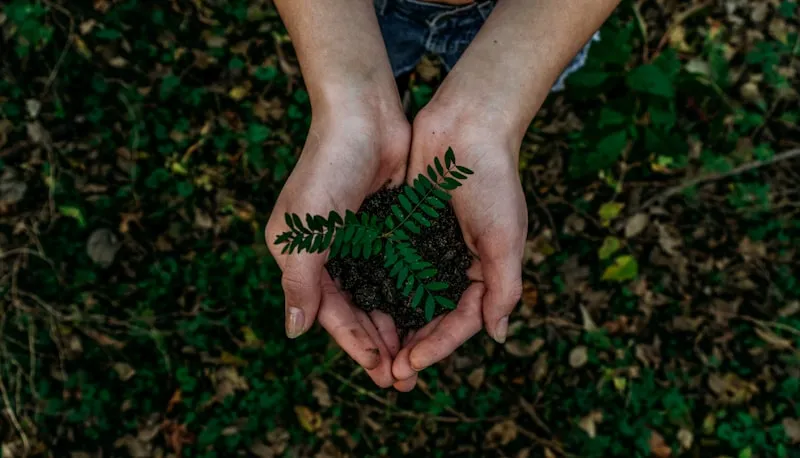 Eco-friendly sustainable vacation rental with green landscaping
